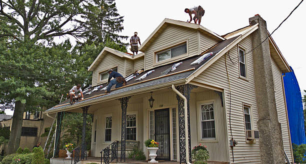 Best Residential Roofing Contractor  in Chinle, AZ