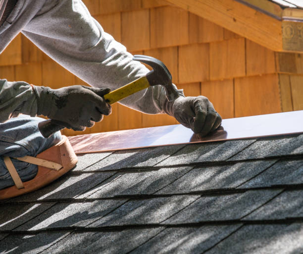 Best Roof Leak Repair  in Chinle, AZ